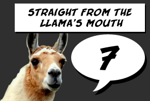 Llama Score: 7