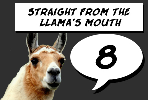 Llama Score: 8